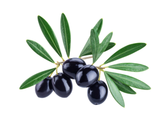 Black olives cluster with olive leaves on transparent background