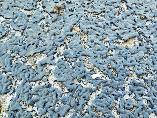 Cracked black mud layer on concrete floor exposed to sunlight