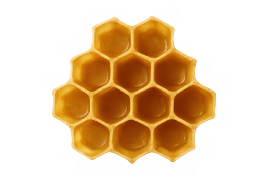 Honeycomb dripping with delicious honey on transparent background, ideal for food and nature projects - Powered by Adobe