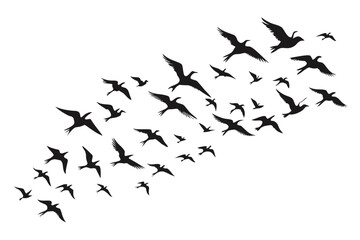 Silhouette of a flock of birds flying in formation against a White background