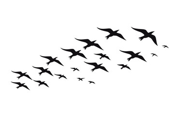 Wildlife Birds in Flight Silhouette Vector for Natural Scene Illustration