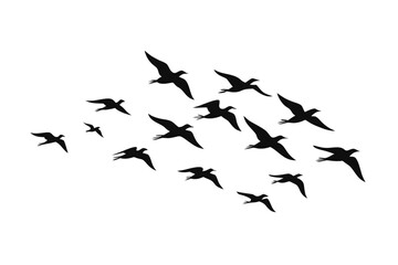 Elegant Bird Flock Silhouette Vector for Freedom and Peace Concepts