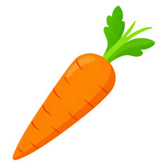carrot vector illustration white background