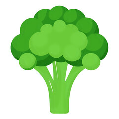 broccoli vector illustration white background