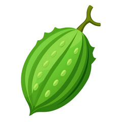 karela, vector illustration white background