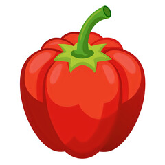 vector illustration red bell pepper white background