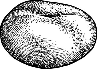 Donut peach ink sketch © alhontess