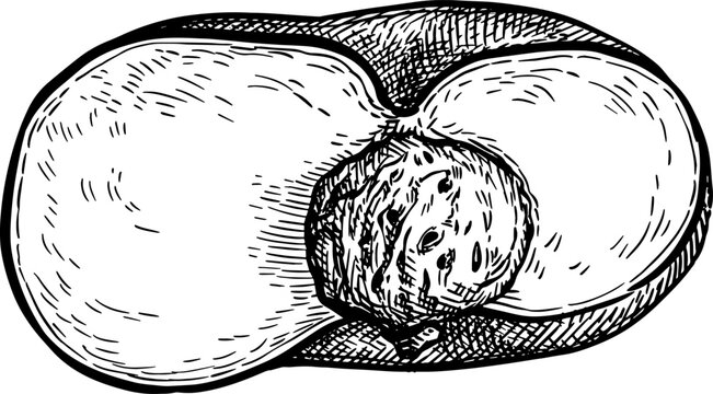 Sliced in half flat peach ink sketch.