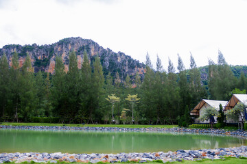 Serene Emerald Lake and Pine Forest with Glamping Tents