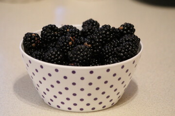 blackberries in a white bowl