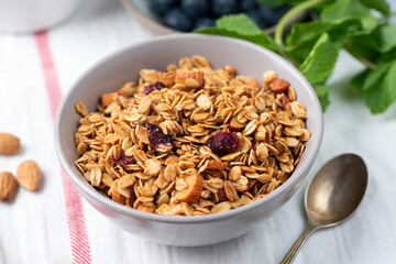 Crunchy homemade granola with dried cranberries and almonds in bowl