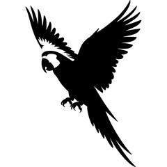 Obraz premium Abstract geometric silhouette design isolated on white background