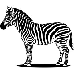 Black and white zebra silhouette isolated on white background