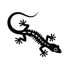 Fototapeta premium Black silhouette of a gecko with white spots on a white background