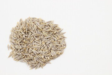 小さな種子の集まり、レタス