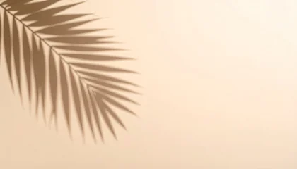 Fototapete Badezimmer shadow of Natural palm leafs on light beige sandy color background. Summer minimal concept, daylight in sunny day  © Natheepong