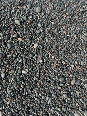 Natural black grey pebble on the beach in different shapes and sizes