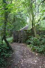 Explore an abandoned brick structure in an overgrown woodland path in Codnor, Derbyshire, England