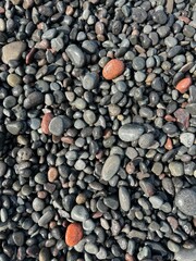 Natural black grey pebble on the beach in different shapes and sizes