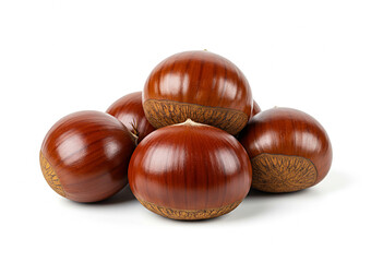Professional quality chestnut images