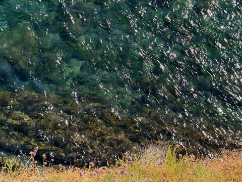 Emerald green glittering sea and allium onions in grass