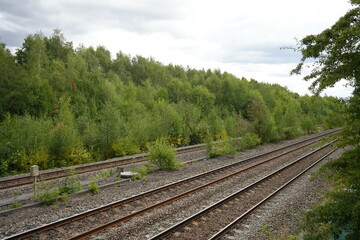 Scenic view of overgrown railway tracks beside lush green woodland in Codnor, Derbyshire, England