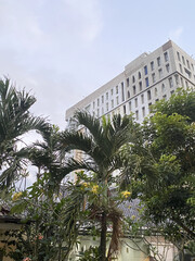 palm trees in front of a building