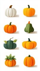 Various pumpkins and gourds displayed in different colors and shapes for a festive autumn collection