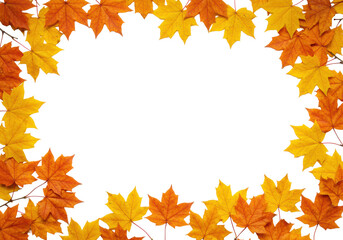 Fototapeta premium Vibrant orange, yellow, brown, and green maple leaves on slender branches, lifelike and isolated on a clean white background with ample copy space, top-down UHD studio photo, autumn nature frame