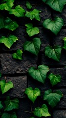Lush green ivy cascading down a textured brick wall creating a natural tapestry