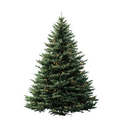 Fototapeta premium Illuminated Christmas Tree Festive Holiday Season Lights Green Conifer Winter, isolated on transparent background, perfect cutout, PNG