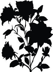 rose large silhouette isolated on white