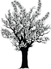 solated blossoming black tree sketch with large flowers