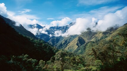 Obraz premium Panoramic views of mountains with dense forests and clouds rolling over peaks, showcasing rugged beauty, natural landscapes with lush greenery and misty summits under open skies.