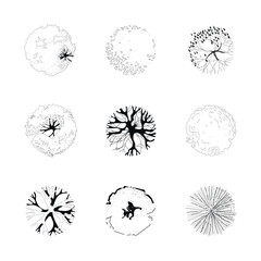 Silhouettes of majestic and beautiful trees. View from above. It is ideal for landscape design, architectural plans and urban graphic elements for maps, drawings, master plans