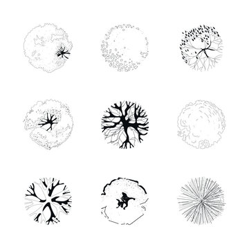 Silhouettes of majestic and beautiful trees. View from above. It is ideal for landscape design, architectural plans and urban graphic elements for maps, drawings, master plans