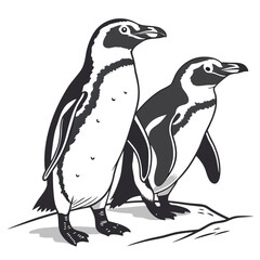 Two penguins standing together in flat colors, isolated on a clean background for animal themes.