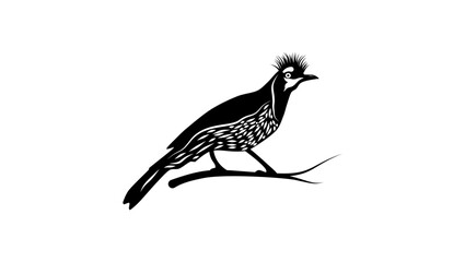 Tufted Jay bird, black isolated silhouette