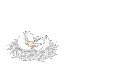 Broken egg in nest illustration on white background