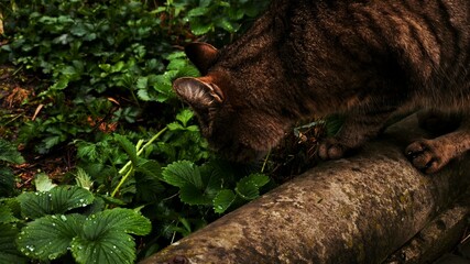 my personal works and photos in my free time
