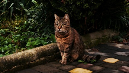 my personal works and photos in my free time