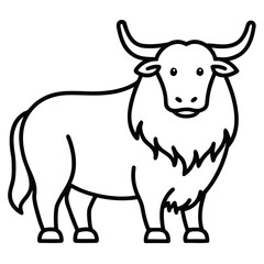 Yak on white background