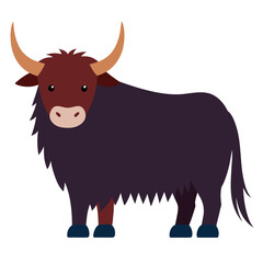 Yak on white background