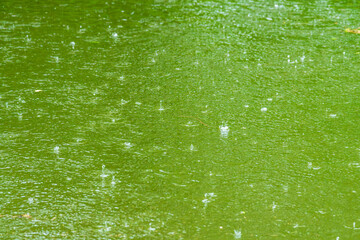 雨の日　雨粒が池に降りそそぐ26