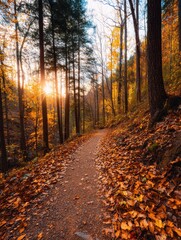 Fototapeta premium Serene Autumn Pathway Through Colorful Forest with Sunlight Filtering Through Trees