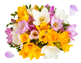 Top View of Multicolored Freesia Bouquet without Vase, Transparent PNG" 