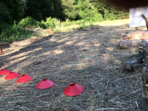 Target practice area with cones set up for training