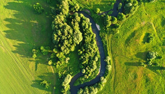 Aerial view of a winding river flowing through lush green fields and trees in summer - Powered by Adobe