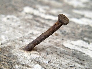 Close up shot of rusty nail on a wooden plank . Macro Photo.