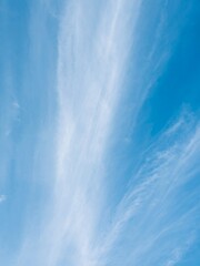 A tranquil scene of high-altitude cirrus clouds stretching across a bright blue sky. The soft streaks create a calming and peaceful atmosphere, perfect for backgrounds or nature-themed content.